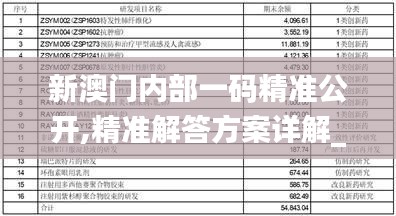 新澳门内部一码精准公开,精准解答方案详解_复兴版QGY9.51