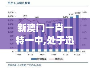 新澳门一肖一特一中,处于迅速响应执行_原创性版PEB9.43