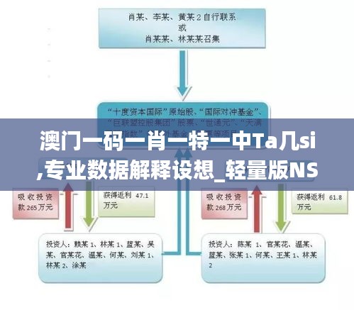 澳门一码一肖一特一中Ta几si,专业数据解释设想_轻量版NSQ9.67