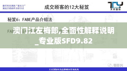 澳门江左梅郎,全面性解释说明_专业版SFD9.82