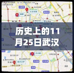 历史上的11月25日武汉市电子眼分布变迁及其现代影响解析揭秘