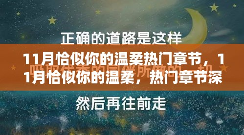 11月恰似你的温柔热门章节深度解析与赏析