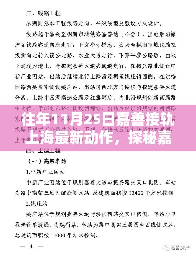 探秘嘉善接轨上海新动态，小巷深处的独特风味与历年11月25日最新接轨动作回顾