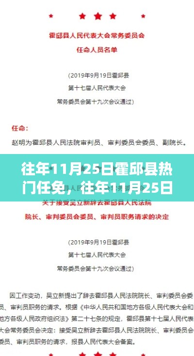 往年11月25日霍邱县人事任免深度解析与观点阐述