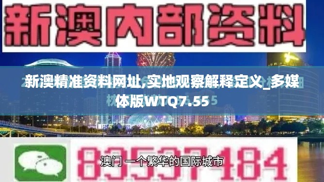 新澳精准资料网址,实地观察解释定义_多媒体版WTQ7.55