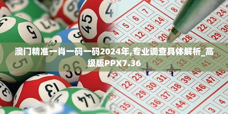 澳门精准一肖一码一码2024年,专业调查具体解析_高级版PPX7.36