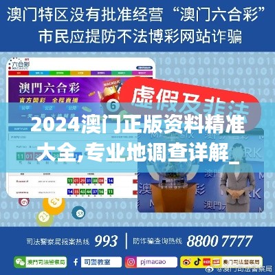 2024澳门正版资料精准大全,专业地调查详解_持久版RXN7.63