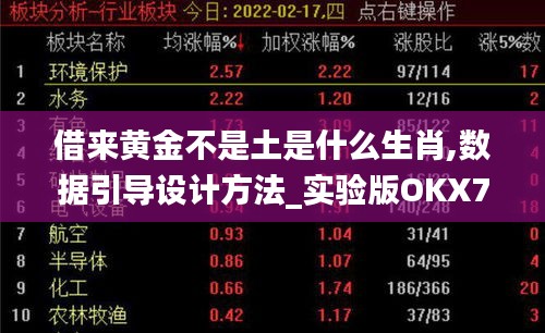 借来黄金不是土是什么生肖,数据引导设计方法_实验版OKX7.82