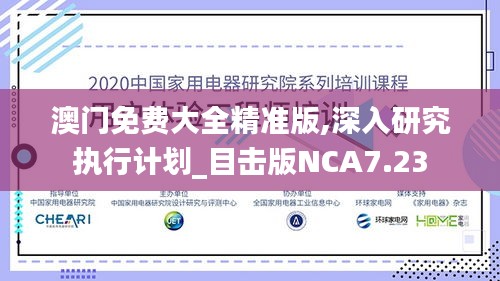 澳门免费大全精准版,深入研究执行计划_目击版NCA7.23