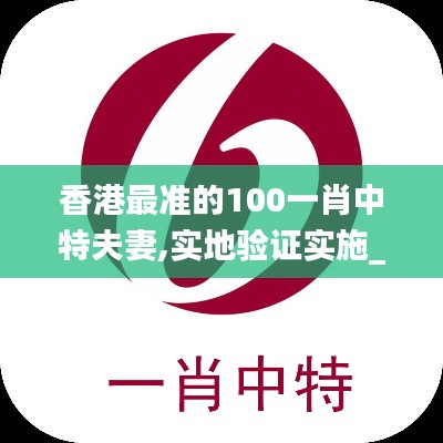 香港最准的100一肖中特夫妻,实地验证实施_乐享版WVL7.40