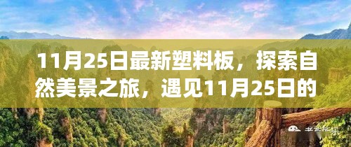 探索自然美景之旅，遇见塑料板奇迹，寻找内心的平和宁静——11月25日最新塑料板体验之旅