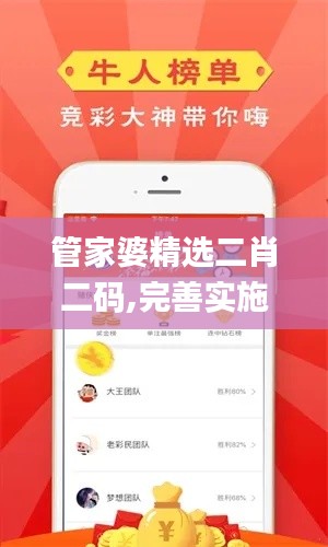 管家婆精选二肖二码,完善实施计划_乐享版RTS7.55