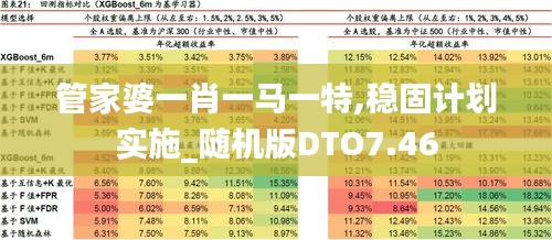 管家婆一肖一马一特,稳固计划实施_随机版DTO7.46