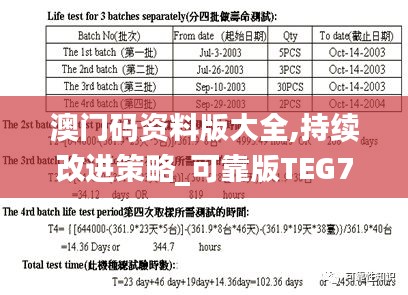 澳门码资料版大全,持续改进策略_可靠版TEG7.2