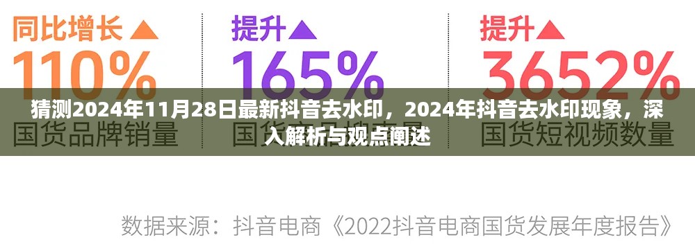 揭秘2024年抖音去水印现象，深度解析与观点阐述，最新动态预测至11月28日