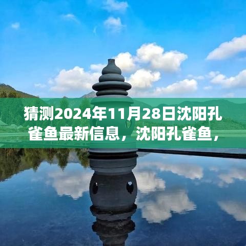 沈阳孔雀鱼未来展望，探寻历史与未来的交织之美，预测2024年11月最新信息揭秘