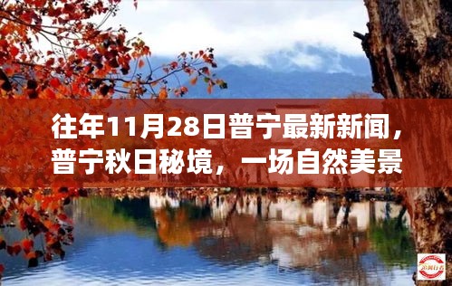 普宁秋日秘境，自然美景的治愈之旅，探寻内心的宁静与平和（最新新闻）