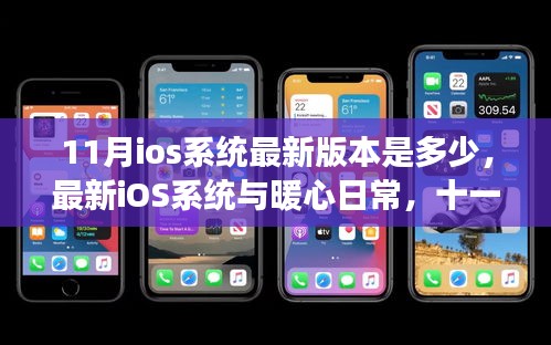 十一月iOS系统升级之旅，暖心日常与最新版本的探索