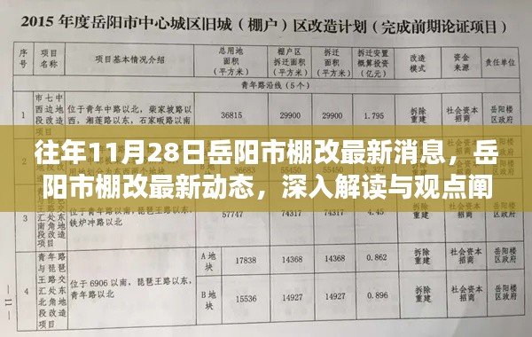 岳阳市棚改最新动态解读与观点阐述，历年11月28日更新消息