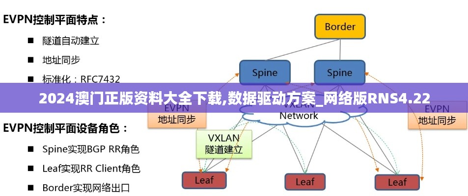 2024澳门正版资料大全下载,数据驱动方案_网络版RNS4.22