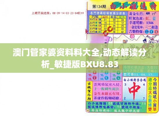 澳门管家婆资料料大全,动态解读分析_敏捷版BXU8.83