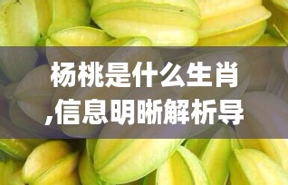 杨桃是什么生肖,信息明晰解析导向_黑科技版HJB8.58