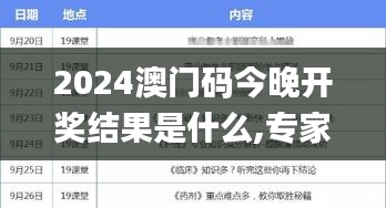 2024澳门码今晚开奖结果是什么,专家解说解释定义_曝光版TDX8.62