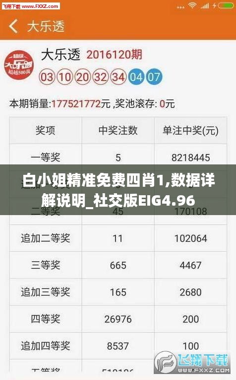 白小姐精准免费四肖1,数据详解说明_社交版EIG4.96