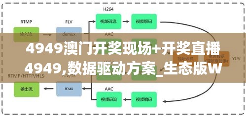 4949澳门开奖现场+开奖直播4949,数据驱动方案_生态版WWQ4.34