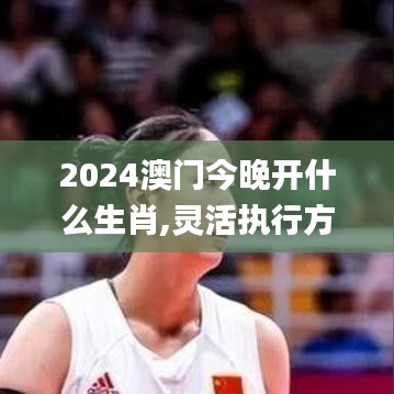 2024澳门今晚开什么生肖,灵活执行方案_高端体验版YWK4.94