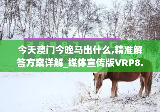 今天澳门今晚马出什么,精准解答方案详解_媒体宣传版VRP8.53