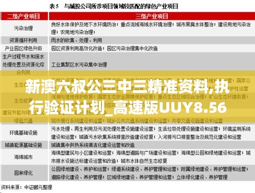 新澳六叔公三中三精准资料,执行验证计划_高速版UUY8.56