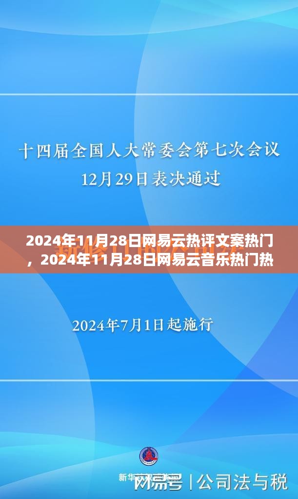 2024年11月28日网易云音乐热门热评文案创作指南，从初学者到进阶用户的必备指南