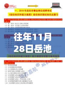 岳池历年11月28日招聘信息深度解析，行业趋势与人才交汇点展望