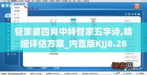 管家婆四肖中特管家五字诗,精细评估方案_内置版KJJ8.28