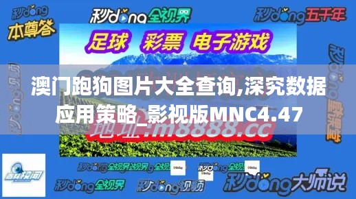 澳门跑狗图片大全查询,深究数据应用策略_影视版MNC4.47