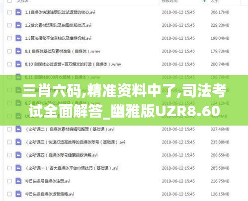 三肖六码,精准资料中了,司法考试全面解答_幽雅版UZR8.60