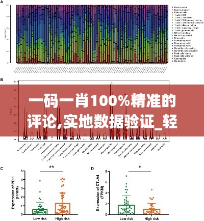 一码一肖100%精准的评论,实地数据验证_轻量版QFO8.15