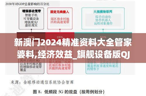 新澳门2024精准资料大全管家婆料,经济效益_旗舰设备版QJC4.70