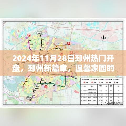 一花独放 第3页