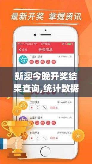 新澳今晚开奖结果查询,统计数据详解说明_时空版QTD50.253