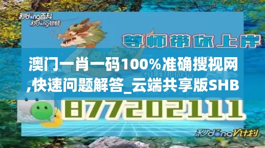 澳门一肖一码100%准确搜视网,快速问题解答_云端共享版SHB80.288