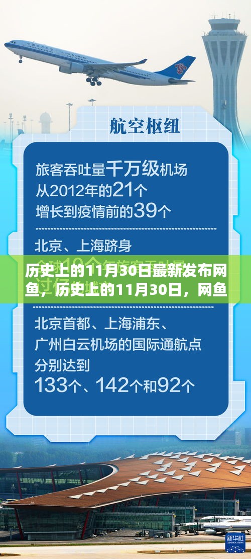 网鱼新篇章，历史上的11月30日揭秘与最新动态发布