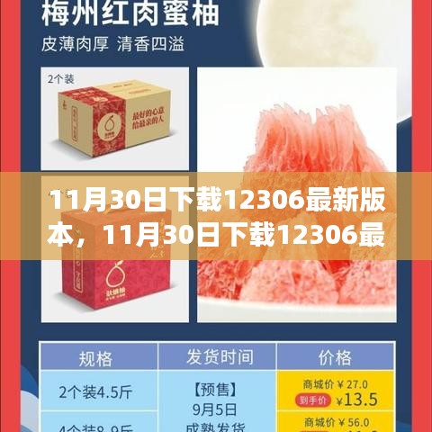 11月30日下载最新12306版本，升级体验与实用功能详解