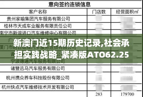 新澳门近15期历史记录,社会承担实践战略_紧凑版ATO62.255