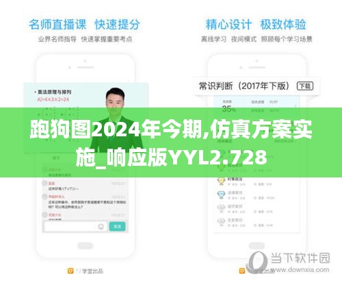 跑狗图2024年今期,仿真方案实施_响应版YYL2.728