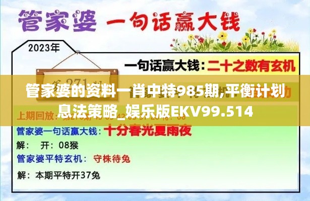 管家婆的资料一肖中特985期,平衡计划息法策略_娱乐版EKV99.514