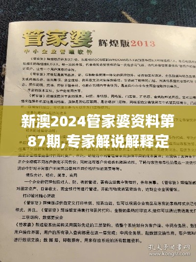 新澳2024管家婆资料第87期,专家解说解释定义_闪电版ULO39.125