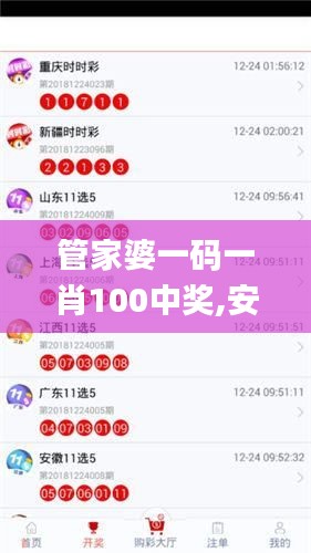 管家婆一码一肖100中奖,安全保障措施_1440pVRY39.599