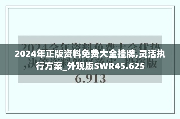 2024年正版资料免费大全挂牌,灵活执行方案_外观版SWR45.625